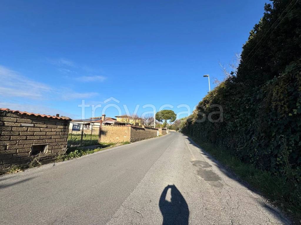 immagine annuncio 4 di 6