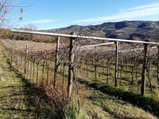 Terreno agricolo in vendita a verona 