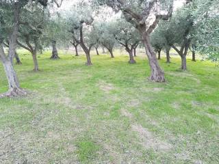 Terreno residenziale in vendita a treglio via degli ulivi