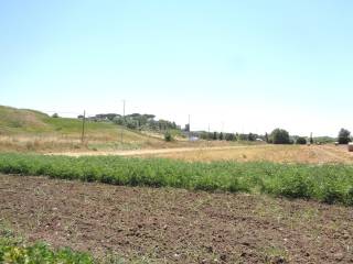 Terreno agricolo in vendita a roma via di ponte galeria, 181