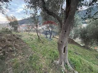 Terreno agricolo in vendita a savona 