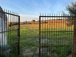 Terreno agricolo in vendita a sennori sp29