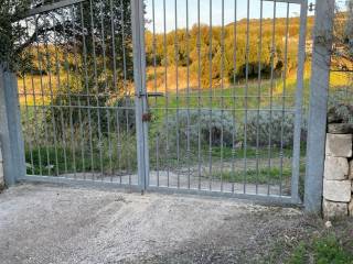 Terreno agricolo in vendita a sennori sp29