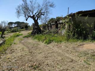 Casale in vendita a centola san nicola