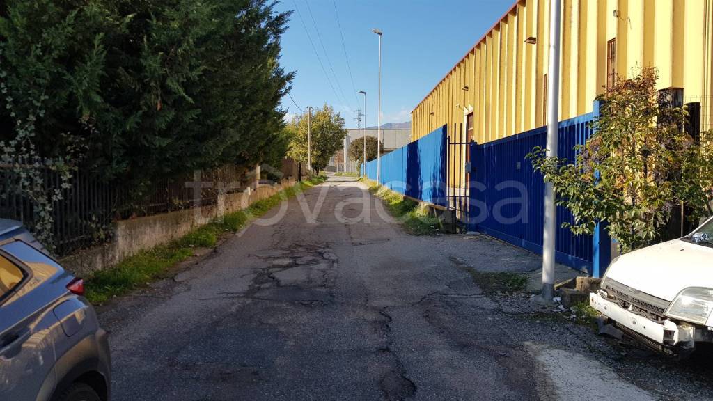 immagine annuncio 3 di 6