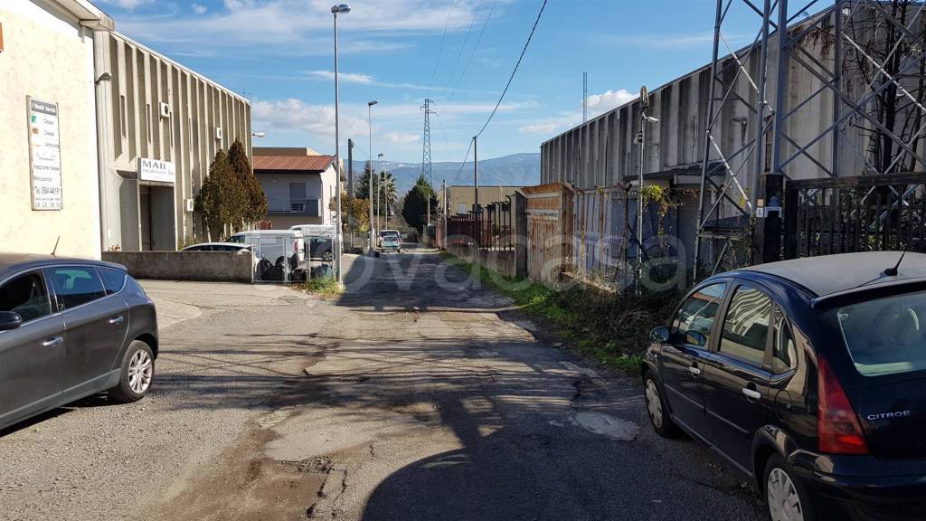 immagine annuncio 4 di 6