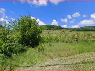 Terreno agricolo all'asta a borgoratto mormorolo sp203