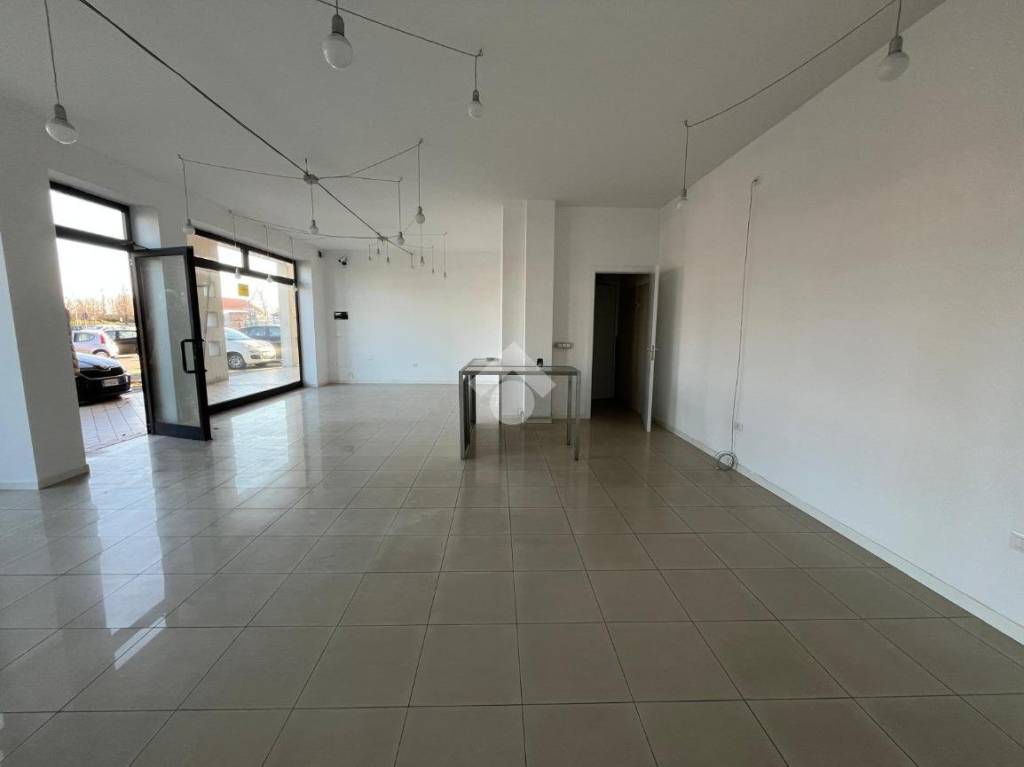 immagine annuncio 5 di 6