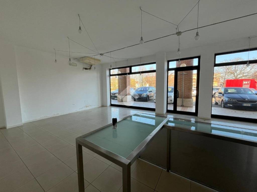 immagine annuncio 3 di 6