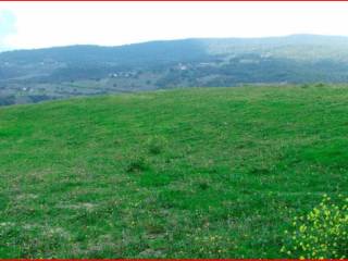 Terreno agricolo all'asta a corleto perticara ss92