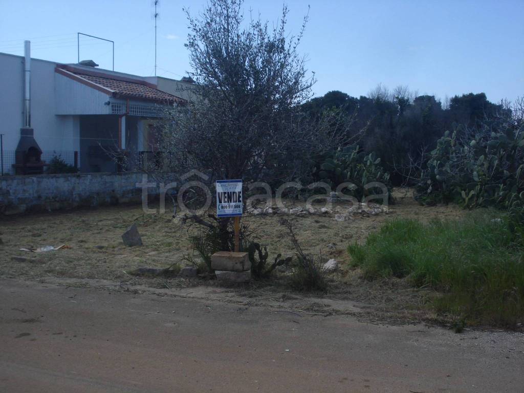 immagine annuncio 3 di 4