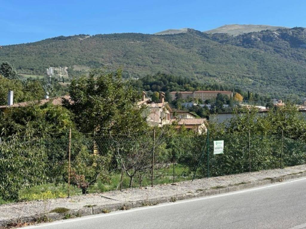 immagine annuncio 4 di 12