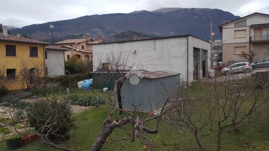 immagine annuncio 5 di 12