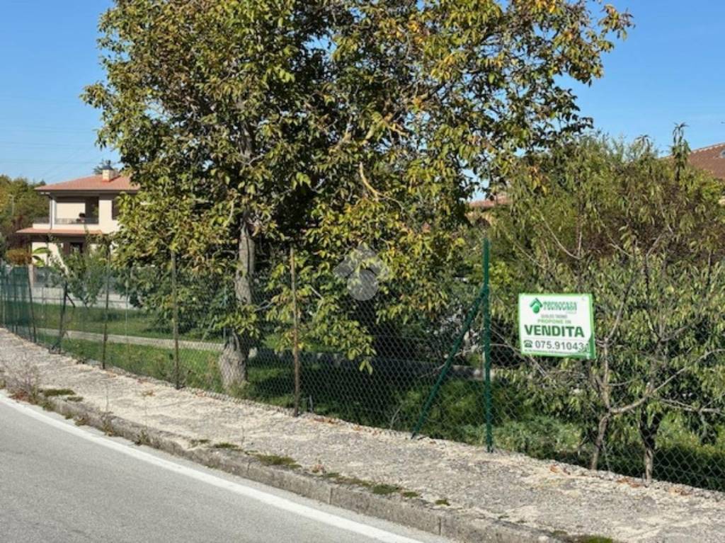 immagine annuncio 2 di 12