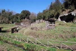 immagine annuncio 10 di 14