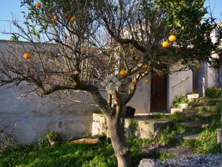 Casa indipendente in vendita a belmonte calabro santa barbara