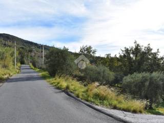 Terreno agricolo in vendita a paola via sangineto