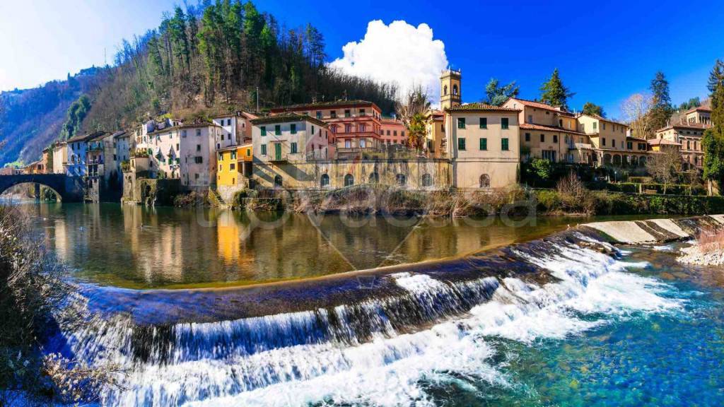 immagine annuncio 5 di 14