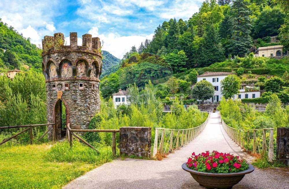 immagine annuncio 6 di 14