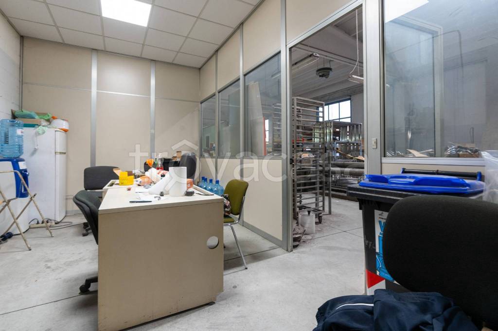 immagine annuncio 9 di 15