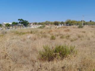 Terreno agricolo all'asta a scicli contrada iungi