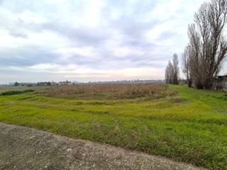 Terreno agricolo in vendita a badia polesine via brendola