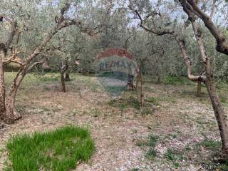 Terreno residenziale in vendita ad assisi 