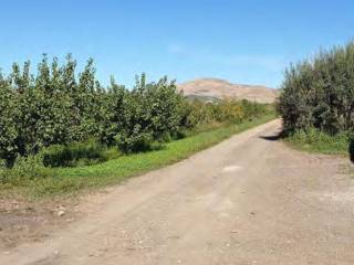 Terreno agricolo all'asta a centuripe strada statale catanese