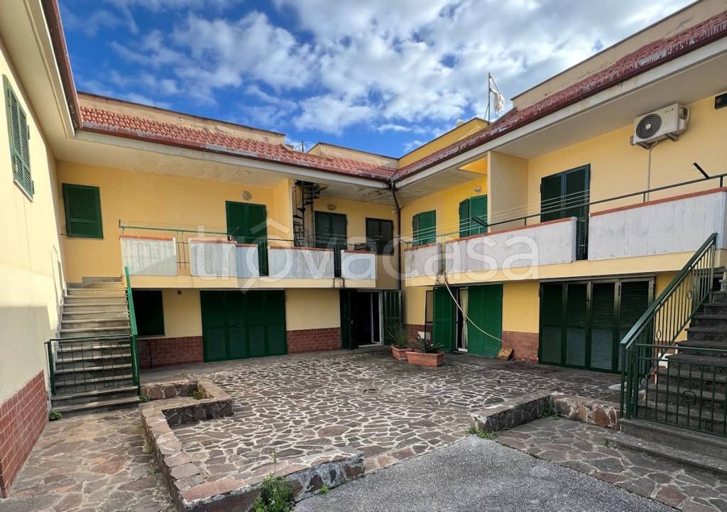 immagine annuncio 9 di 12