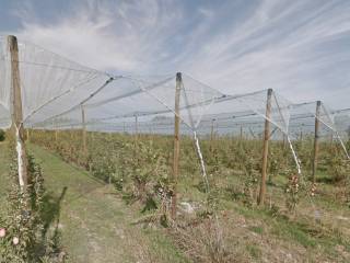 Terreno agricolo in vendita a soliera 