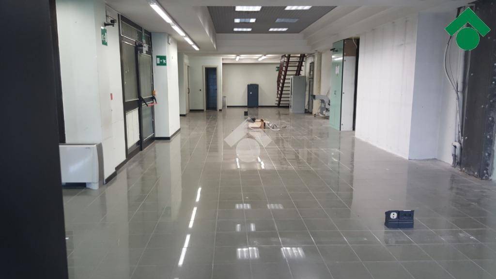 immagine annuncio 5 di 12