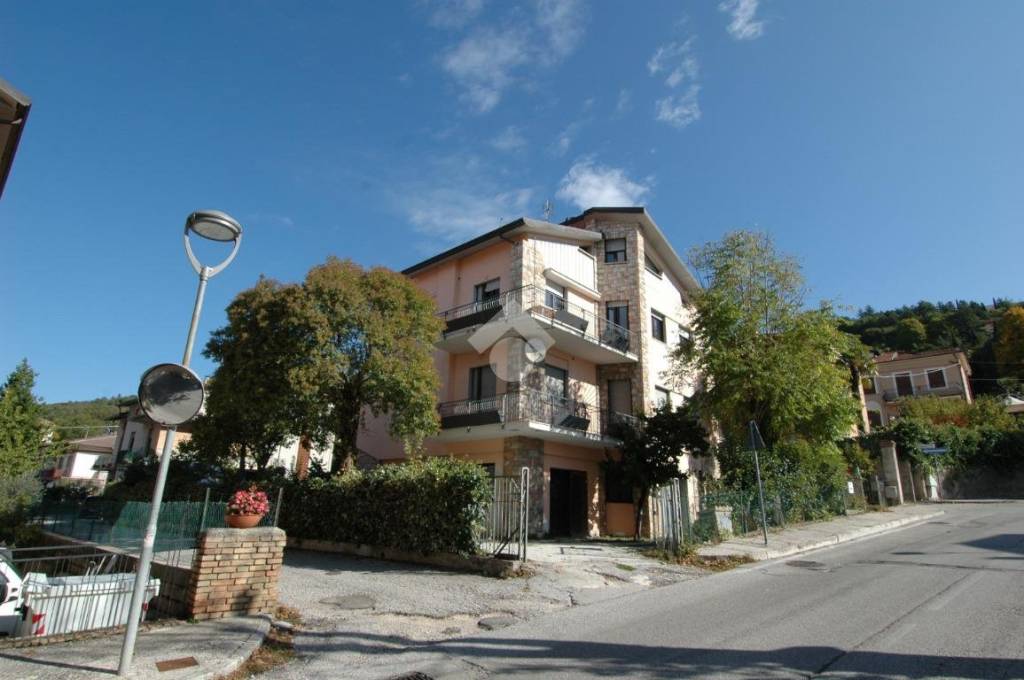 immagine annuncio 11 di 13