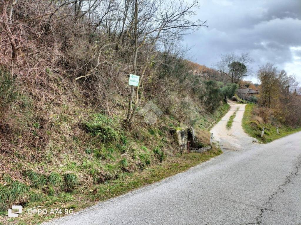 immagine annuncio 5 di 7