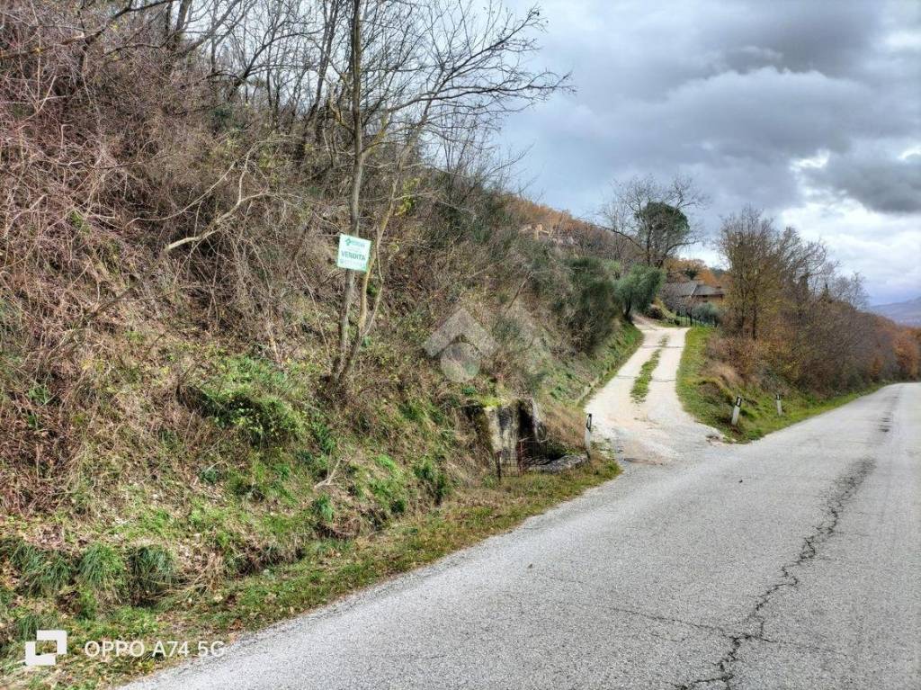 immagine annuncio 6 di 7