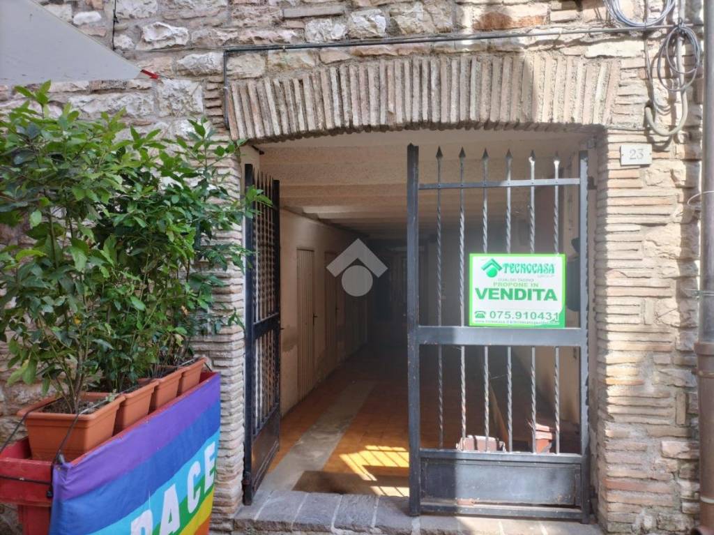 immagine annuncio 13 di 14