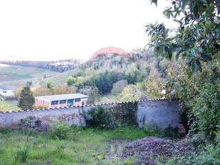 Terreno agricolo in vendita a moncalvo 