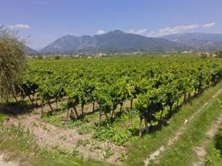 Terreno agricolo in vendita a castelvenere via marraioli