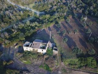 Terreno agricolo in vendita a perito 