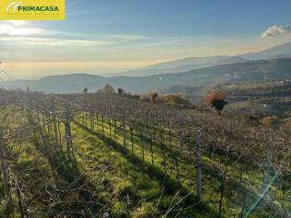 Terreno agricolo in vendita a negrar di valpolicella via chieve, 0