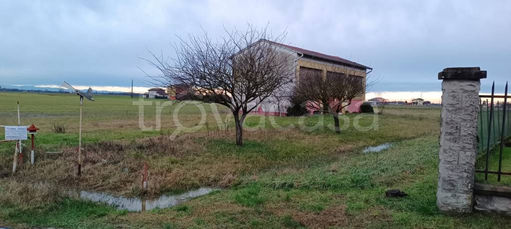 immagine annuncio 2 di 12