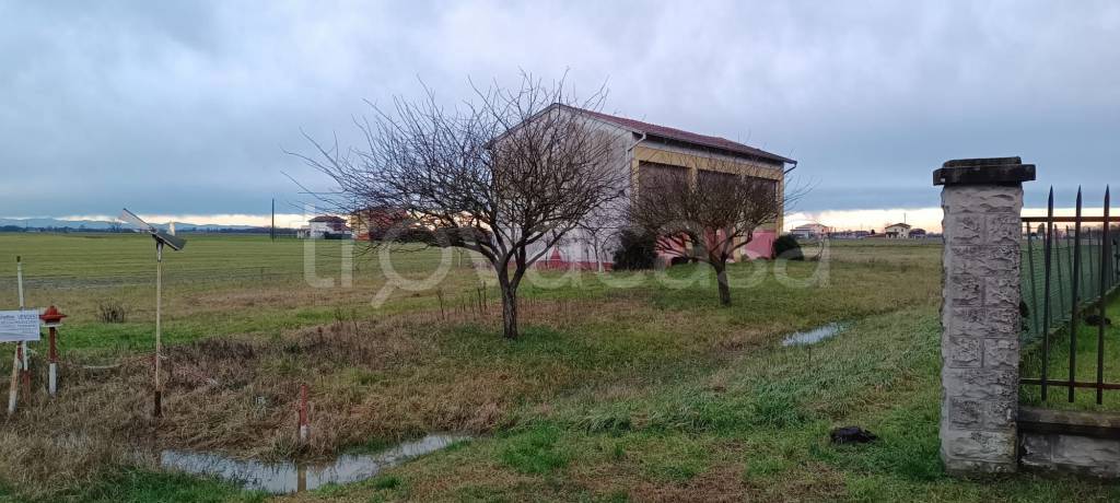 immagine annuncio 3 di 12
