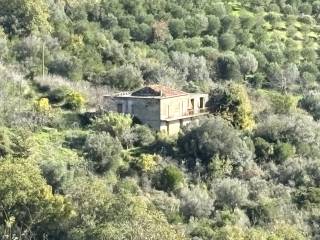 Rustico in vendita a prignano cilento vicolo olmo