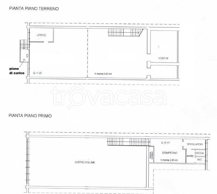immagine annuncio 11 di 12