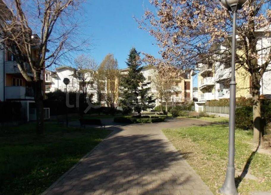 immagine annuncio 3 di 15