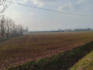 Terreno agricolo in vendita a cavriago strada razeto