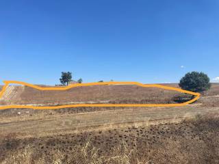 Terreno agricolo in vendita a palazzo san gervasio strada provinciale mulini matinelle