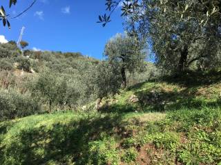 Terreno agricolo in vendita a campagna via cappuccini, 11