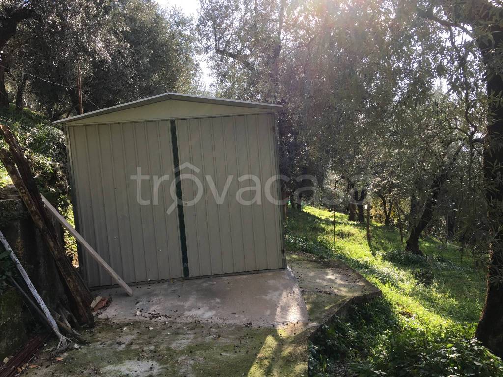 immagine annuncio 3 di 11