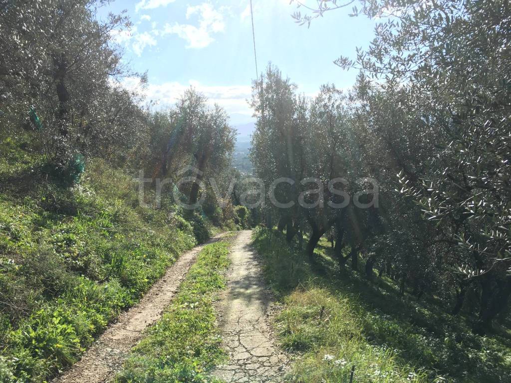 immagine annuncio 6 di 11