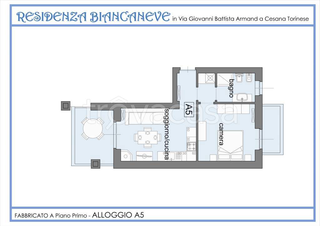 immagine annuncio 1 di 15
